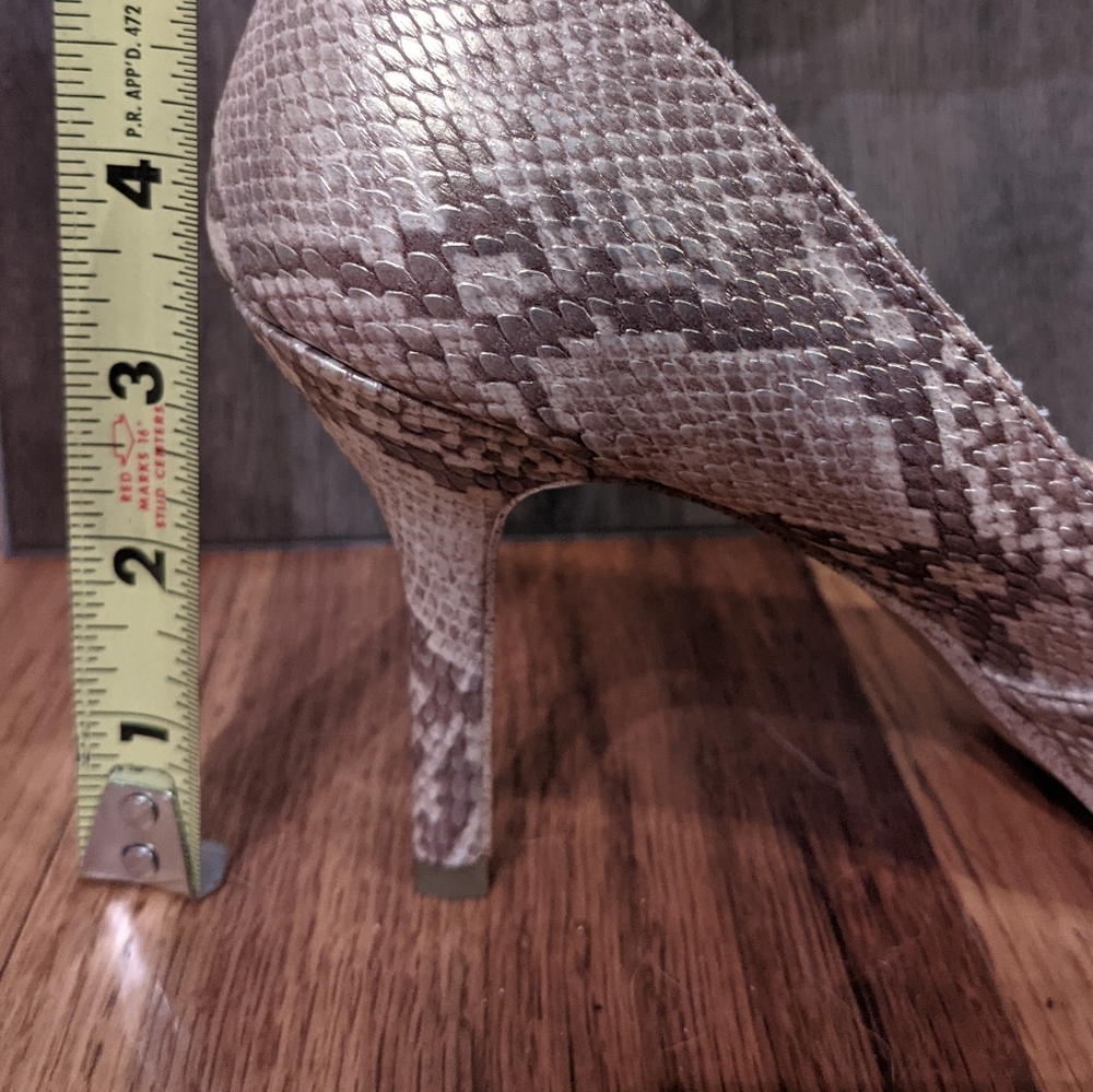 Snake Skin - Picture 5 of 5